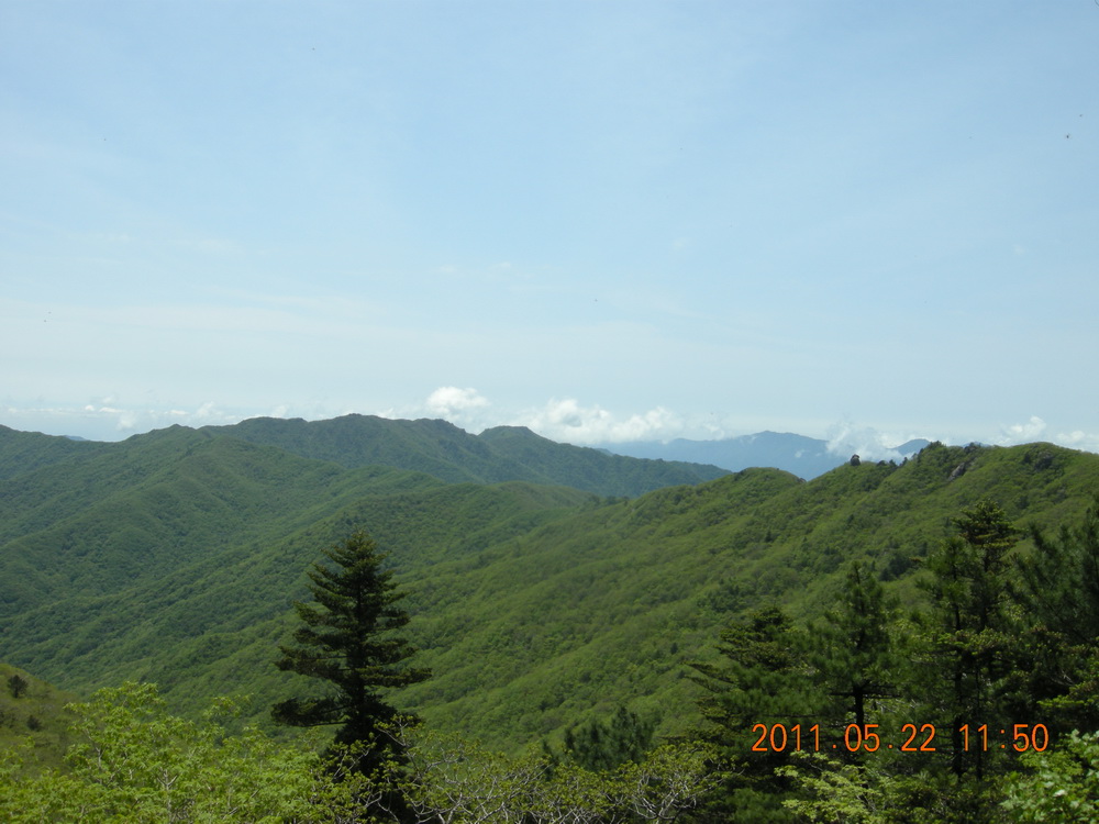 DSCN9781.JPG